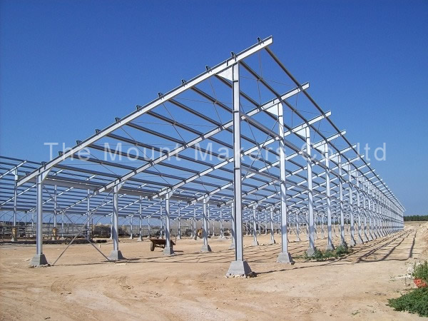 201004242.jpg