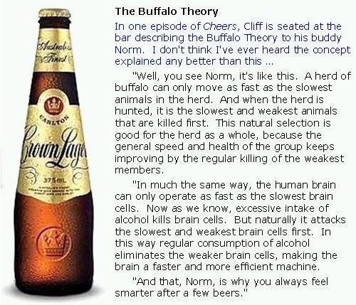 beer theory.jpg