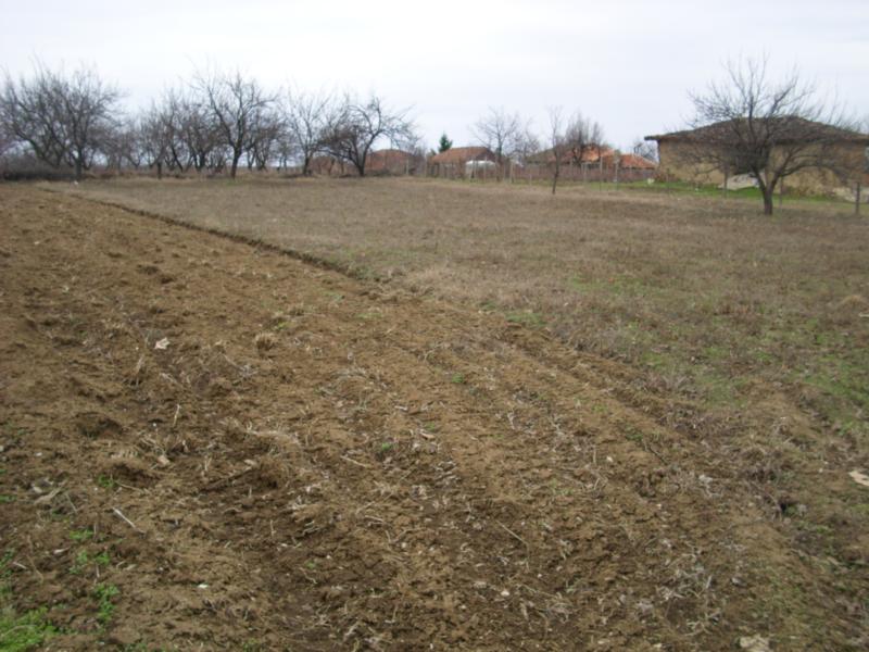 DSCI0082_2.jpg