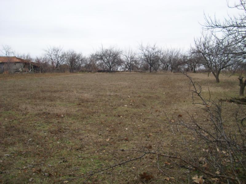 DSCI0081_2.jpg