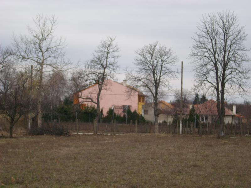 DSCI0080_2.jpg