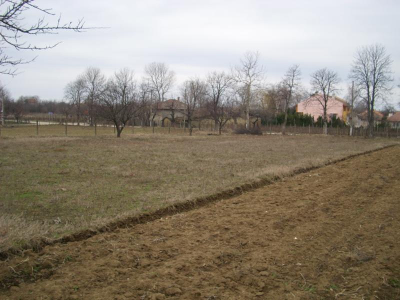 DSCI0079_2.jpg