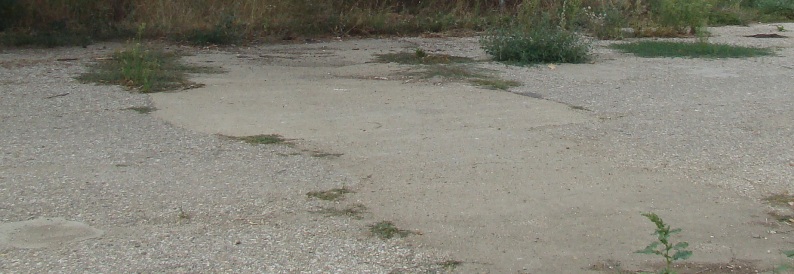 DSC01974.JPG