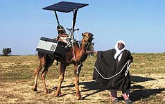techno-camel.jpg