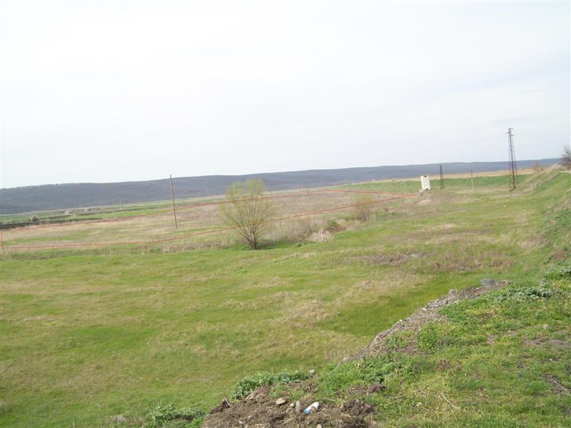 100_0393-i (Medium).JPG