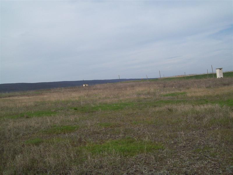 100_0387 (Medium).jpg