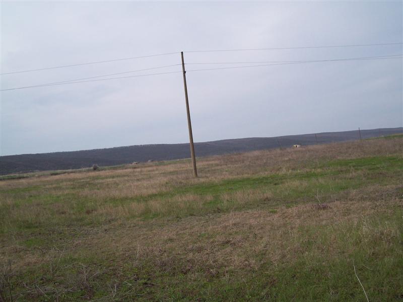 100_0381 (Medium).JPG