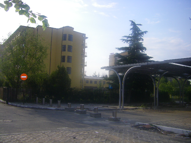 IMGP2533.JPG