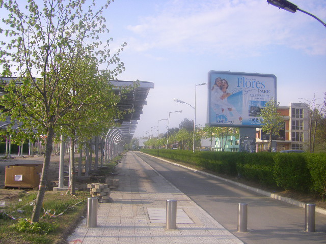 IMGP2532.JPG