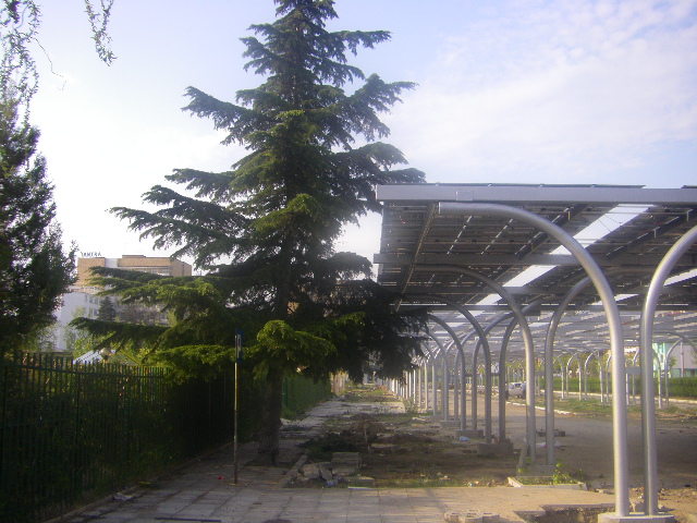 IMGP2531.JPG