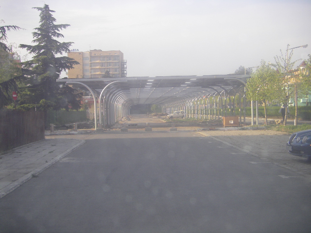 IMGP2524.JPG