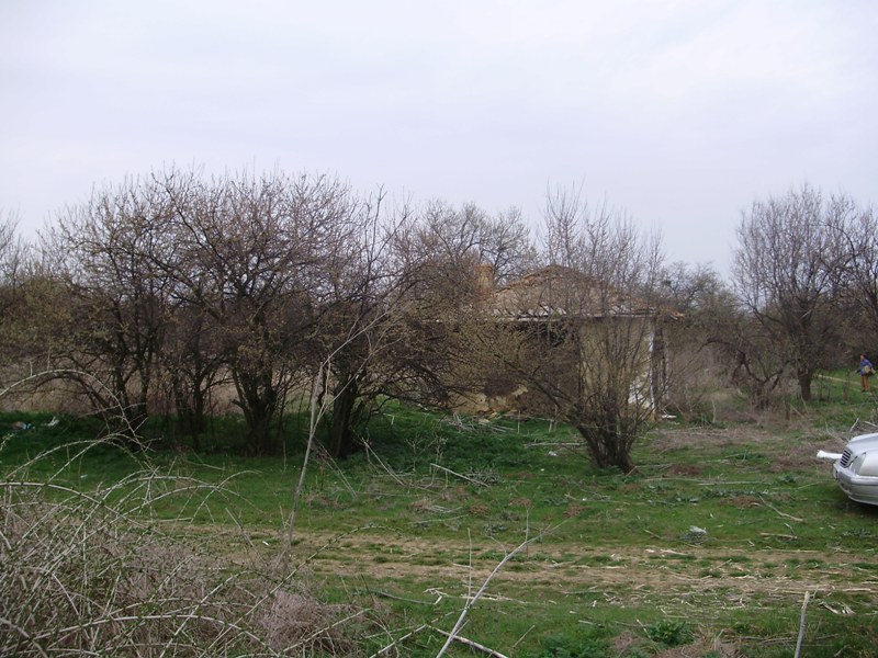 P3250142.JPG