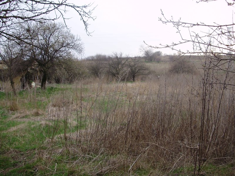 P3250141.JPG