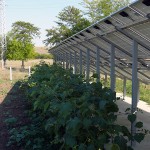 81kW Соларна централа на парцел снимка 1